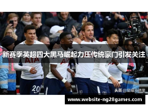 新赛季英超四大黑马崛起力压传统豪门引发关注
