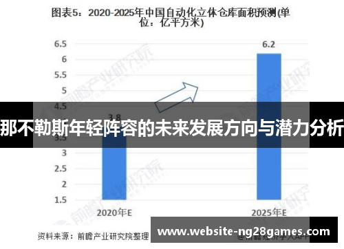 那不勒斯年轻阵容的未来发展方向与潜力分析