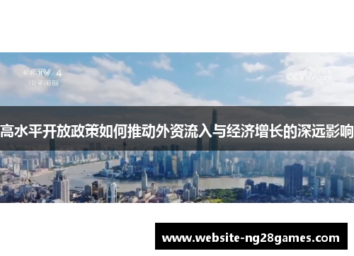 高水平开放政策如何推动外资流入与经济增长的深远影响
