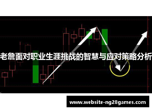 老詹面对职业生涯挑战的智慧与应对策略分析