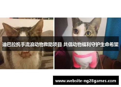 迪巴拉携手流浪动物救助项目 共倡动物福利守护生命希望