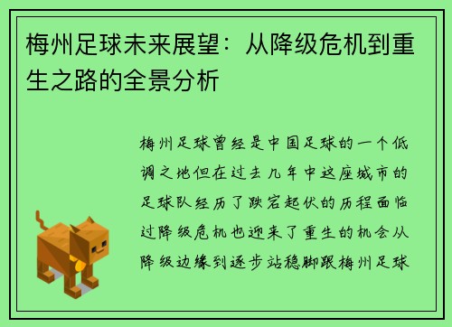 梅州足球未来展望：从降级危机到重生之路的全景分析